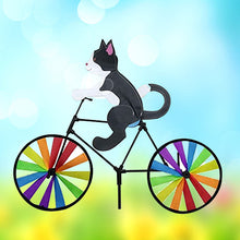 Ladda upp bild till gallerivisning, Katt på cykelvindsnurra