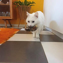 Ladda upp bild till gallerivisning, Beröring och ljud kattleksak