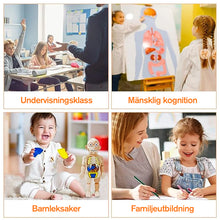 Ladda upp bild till gallerivisning, Upplysningsleksaker för barn