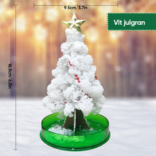 Ladda upp bild till gallerivisning, 3 i 1 Mini julgran magisk vÀxande