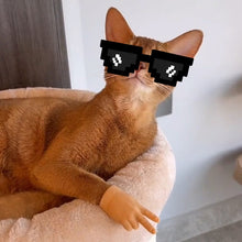 Ladda upp bild till gallerivisning, Rolig katthandske leksak