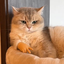 Ladda upp bild till gallerivisning, Rolig katthandske leksak