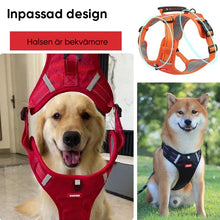 Ladda upp bild till gallerivisning, Reflekterande hundsele