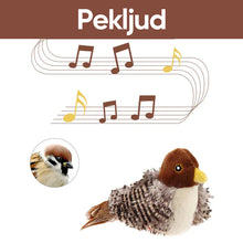 Ladda upp bild till gallerivisning, Beröring och ljud kattleksak