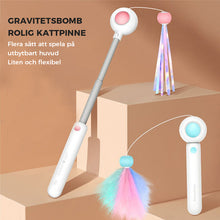 Ladda upp bild till gallerivisning, Infällbar kattteaser för husdjur