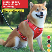 Ladda upp bild till gallerivisning, Reflekterande hundsele