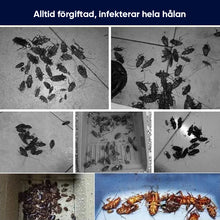 Ladda upp bild till gallerivisning, Säker kackerlackaavvisande eterisk olja
