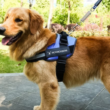 Ladda upp bild till gallerivisning, Reflekterande allt-i-ett-sele som inte drar hunden