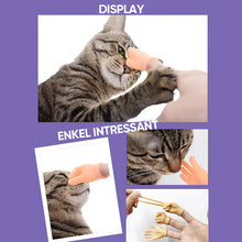 Ladda upp bild till gallerivisning, Rolig katthandske leksak