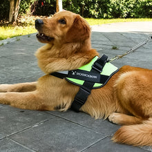 Ladda upp bild till gallerivisning, Reflekterande allt-i-ett-sele som inte drar hunden