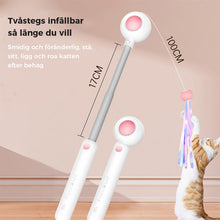 Ladda upp bild till gallerivisning, Infällbar kattteaser för husdjur