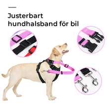 Ladda upp bild till gallerivisning, Justerbart hundkoppel för bil