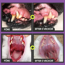 Ladda upp bild till gallerivisning, Tandrengöringsspray för hundar och katter