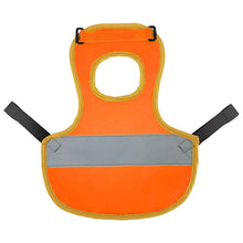 Ladda upp bild till gallerivisning, Justerbar hönssele och reflexväst för hönor som husdjur