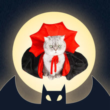 Ladda upp bild till gallerivisning, Halloween Dracula husdjurskostym