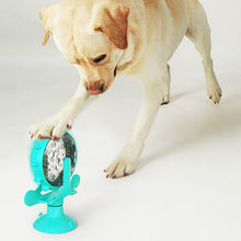 Ladda upp bild till gallerivisning, Väderkvarn husdjursmatare leksak