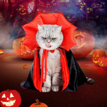 Ladda upp bild till gallerivisning, Halloween Dracula husdjurskostym