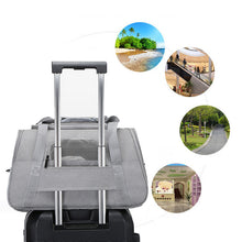 Ladda upp bild till gallerivisning, Bärbar utflyktsväska för husdjur