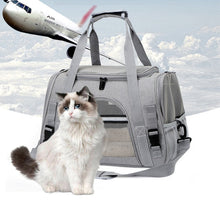 Ladda upp bild till gallerivisning, Bärbar utflyktsväska för husdjur
