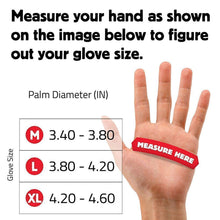 Ladda upp bild till gallerivisning, Hirundo Cut Resistant Gloves - Left & Right ( 1 pair )