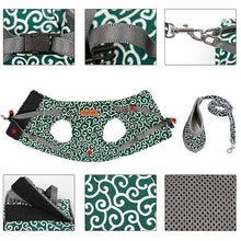 Ladda upp bild till gallerivisning, Kattväst med sele och koppel för utomhuspromenader