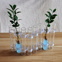 Ladda upp bild till gallerivisning, Hinged Flower Vase(6 pcs/8 pcs)