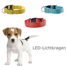 Ladda upp bild till gallerivisning, LED lysande hundhalsband