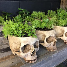 Ladda upp bild till gallerivisning, Handgjord blomkruka med dödskalle