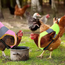 Ladda upp bild till gallerivisning, Justerbar hönssele och reflexväst för hönor som husdjur