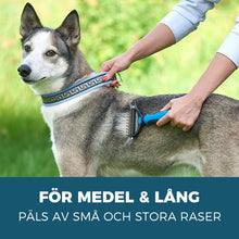 Ladda upp bild till gallerivisning, Skötselborste för husdjur