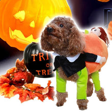 Ladda upp bild till gallerivisning, Husdjurs hund Pumpa Halloween -Dräkt