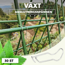 Ladda upp bild till gallerivisning, Växtanslutningsspännen