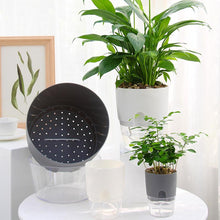 Ladda upp bild till gallerivisning, Självvattnande Hydroponisk Blomkruka