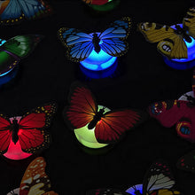 Ladda upp bild till gallerivisning, 3D LED Butterfly Decoration Night Light