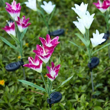 Ladda upp bild till gallerivisning, Flower Solcellsdriven trädgårdsbelysning