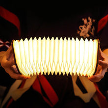 Ladda upp bild till gallerivisning, Ihopfällbar Lampa med trästativ