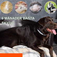 Ladda upp bild till gallerivisning, Avmaskningshalsband för husdjur