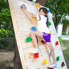 Ladda upp bild till gallerivisning, Kids Backyard Rock Climbing Kit