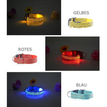 Ladda upp bild till gallerivisning, LED lysande hundhalsband