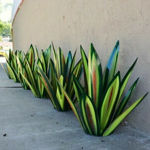 Ladda upp bild till gallerivisning, VattentÀt Garden Agave dekoration