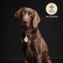 Ladda upp bild till gallerivisning, Ultraljudsskydd för loppor och fästingar