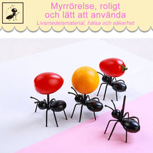 Ladda upp bild till gallerivisning, Hårtarbetande myror som Flyttar Fruktgaffel (12 st)