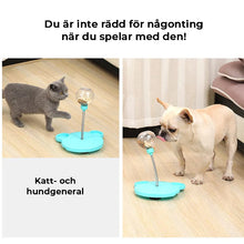 Ladda upp bild till gallerivisning, Bollmatare för husdjur