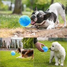 Ladda upp bild till gallerivisning, Hirundo® Magic Ball for Dogs