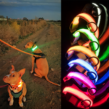 Ladda upp bild till gallerivisning, LED Hundhalsband