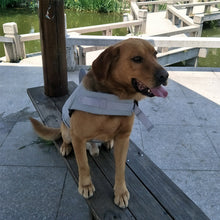 Ladda upp bild till gallerivisning, Dog Swimming Safe Jacket
