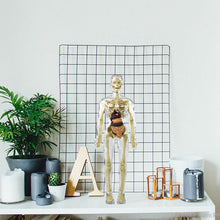 Ladda upp bild till gallerivisning, đ©»3D mĂ€nsklig kropp torso modell för barn anatomi modell skelett