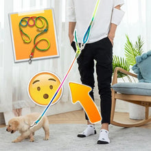 Ladda upp bild till gallerivisning, Handsfree hundkoppel