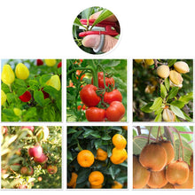 Ladda upp bild till gallerivisning, Trädgårdsplockningsanordning