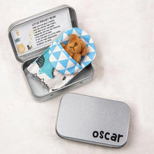 Ladda upp bild till gallerivisning, Teddy Bear in a Tin Box